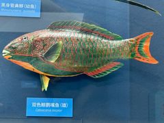 -国家自然博物馆