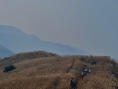 -浙西天池景区