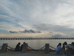 -宝安西湾红树林湿地公园