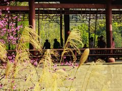 -重庆彩云湖湿地公园