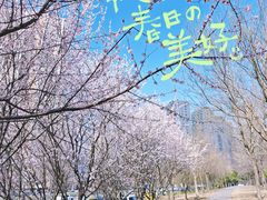 -太阳宫公园