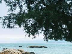-花海间·即刻露营