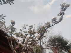 -大理文庙(大理古城)