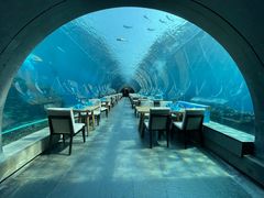 -海棠湾洲际-涛·海底餐厅·美人鱼·自助餐·海底隧道