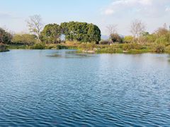 -良渚古城遗址公园