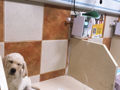 -北京佳信宠物医院