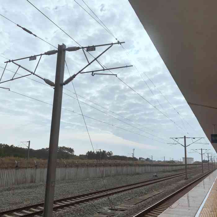 akira7点评日记94