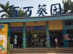 -百万葵园