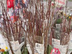 -伊藤洋华堂(高新店)