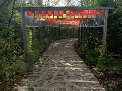 -帽儿山风景区
