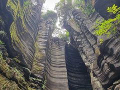 -梭布垭石林景区