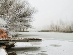 -伊犁河风景区
