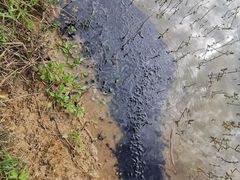 -金谷域澳洲庄园