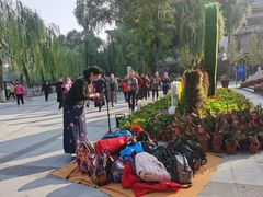 -文瀛公园