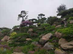 -罗红摄影艺术馆