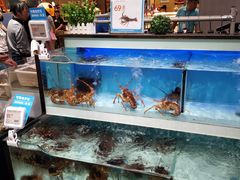 -盒马X会员店(王府井奥莱UP TOWN店)