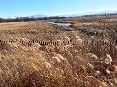 -野鸭湖国家湿地公园