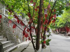 -汉中石门栈道风景区