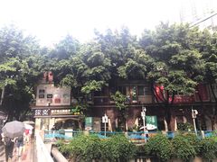 -探窝·竹笙椰子鸡(杨箕店)