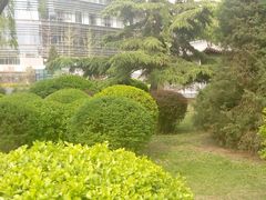 android_upload_pic-迎泽公园