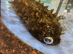 -老街坊美食汇(玉兰大街店)