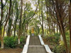 -青龙山国家森林公园