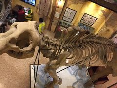 -信不信由你博物馆