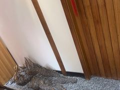 -鸡毛换糖(高桥店)