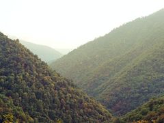 -维乐口腔医院(星海湾分院)