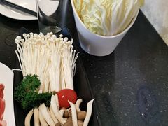 圆白菜-东来顺饭庄(金泉广场店)