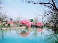 -西溪国家湿地公园