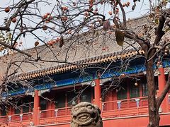 -北京石刻艺术博物馆(五塔寺)