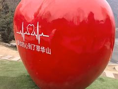-秦岭终南山世界地质公园翠华山景区