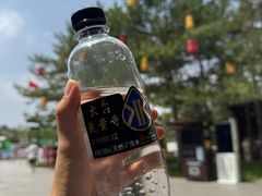 -老绥元烧麦·家常菜(大召店)