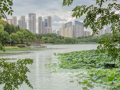 -月湖风景区