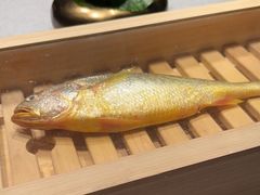 -荣府宴(南阳路店)