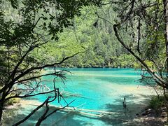 -九寨沟-树正沟