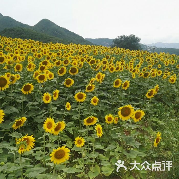 快活林烧烤攀岩初级区图片-北京烧烤-大众点评网