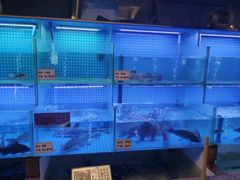 -老宋家鱼馆(北滨路店)