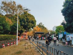 -大湾区中央湿地公园