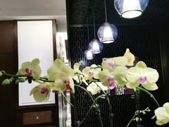 -丽晶轩中餐厅(重庆丽晶酒店)