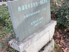 -龙井村