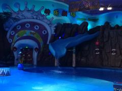 -烟台海昌鲸鲨海洋公园