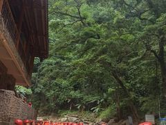 -龙颈河漂流