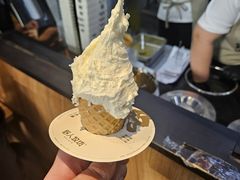 -野人先生现做冰淇淋(北京顺义祥云小镇店)