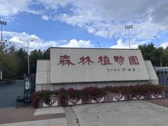 -绥化市森林植物园