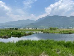-腾冲北海湿地