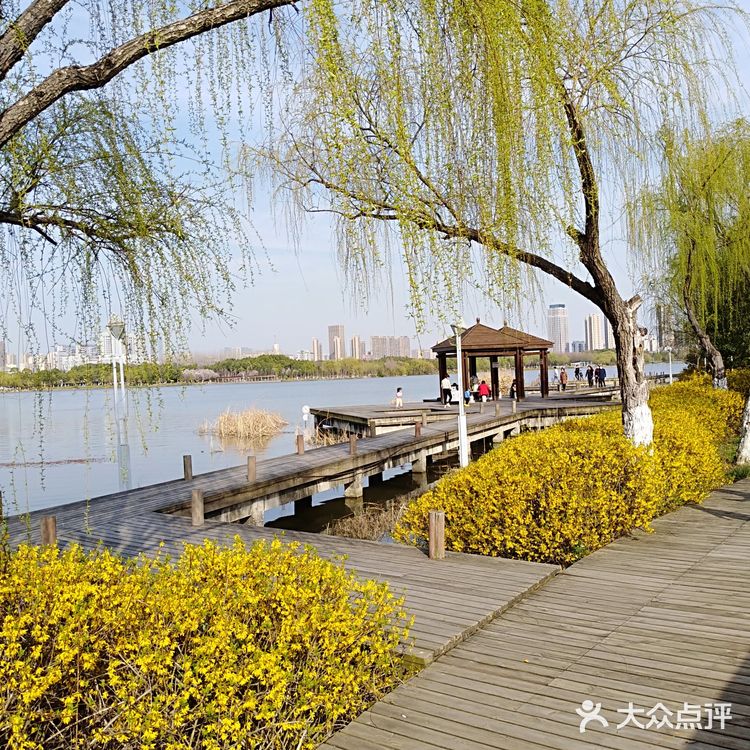 翡翠湖公园开放第一天， 阳光正好， 风轻云淡