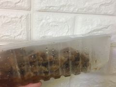 -狗撵鸭(泰山公寓店)