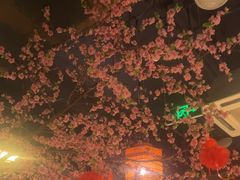 -卢大鲜鱼头捞饭(美利广场店)